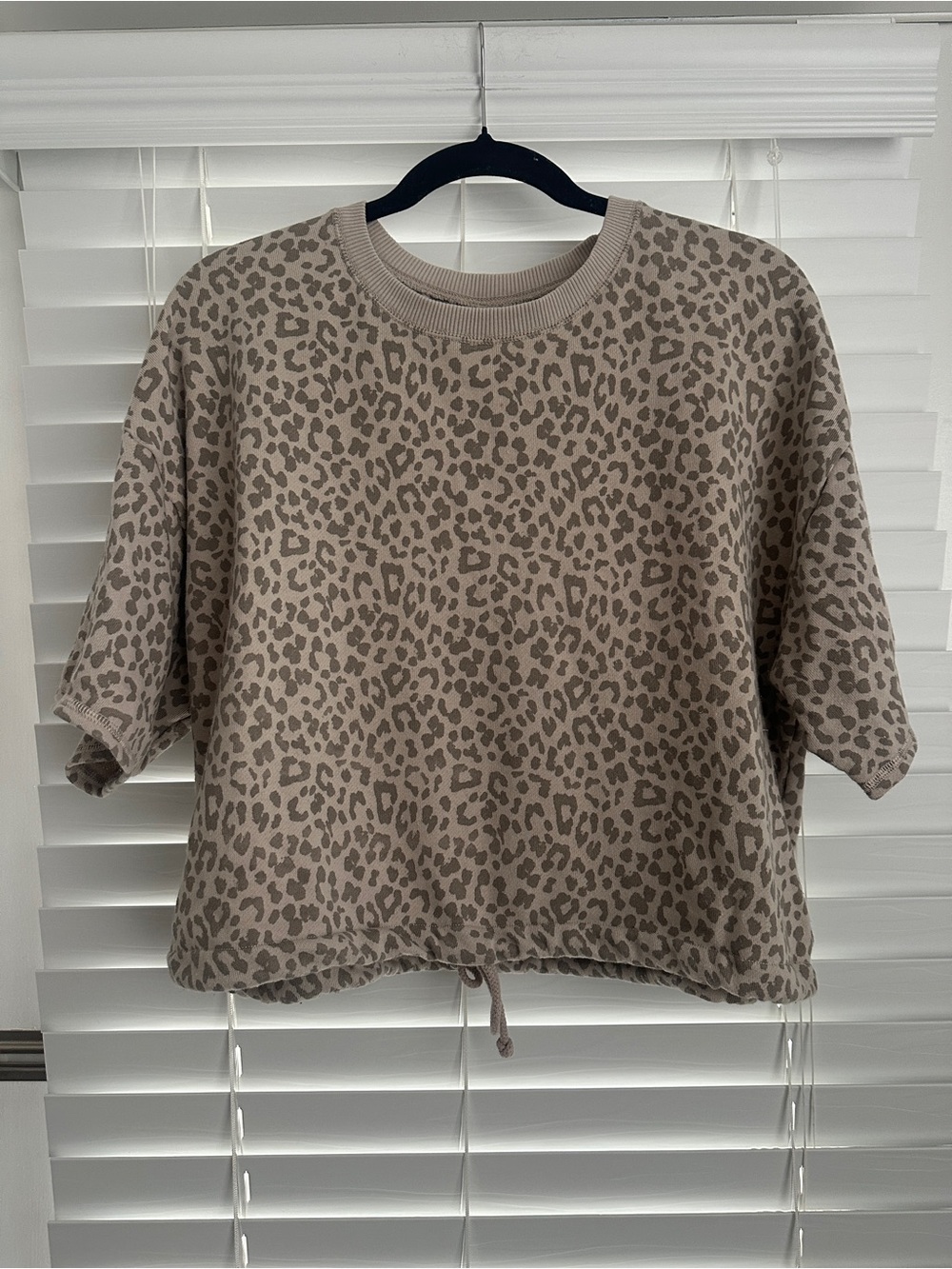 American Eagle Cropped Leopard Print Crop top